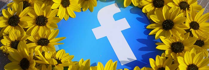 Read more about the article Facebook Marketing